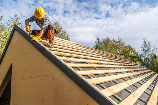 Best Local Roofing Companies  in Leupp, AZ