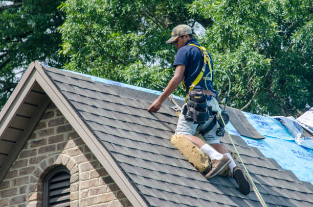 Best Commercial Roofing Services  in Leupp, AZ